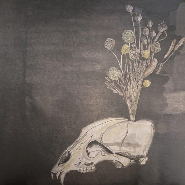 Steve Gunn and Black Twig Pickers – Seasonal Hire