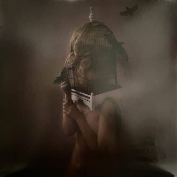 The Dear Hunter ‎– Migrant