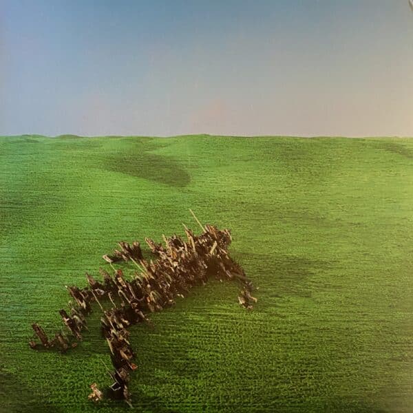 Squid – Bright Green Field