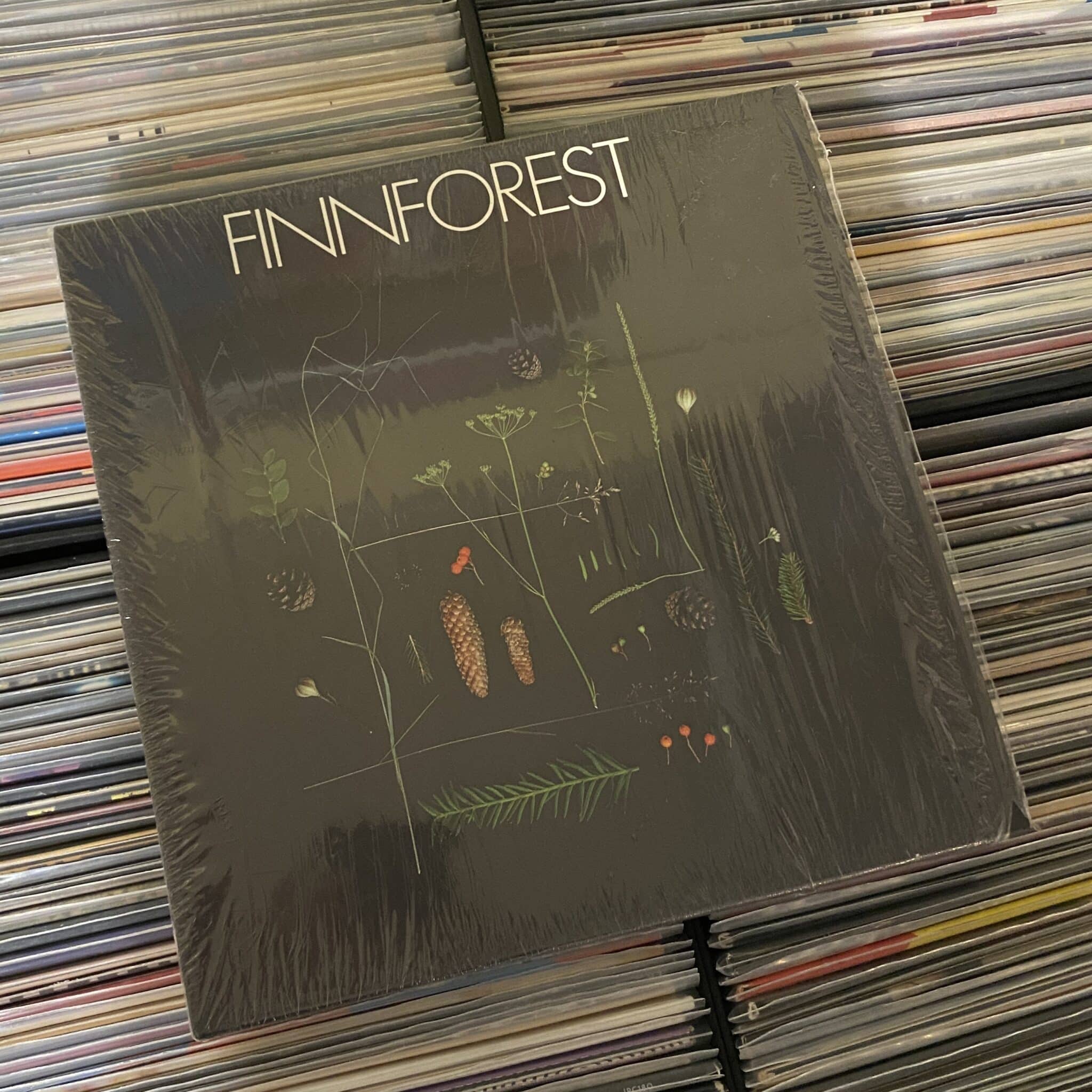 Finnforest – Alpha To Omega