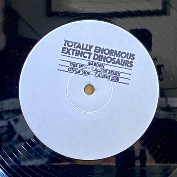 Totally Enormous Extinct Dinosaurs – Garden (Calibre Remixes) MAXI