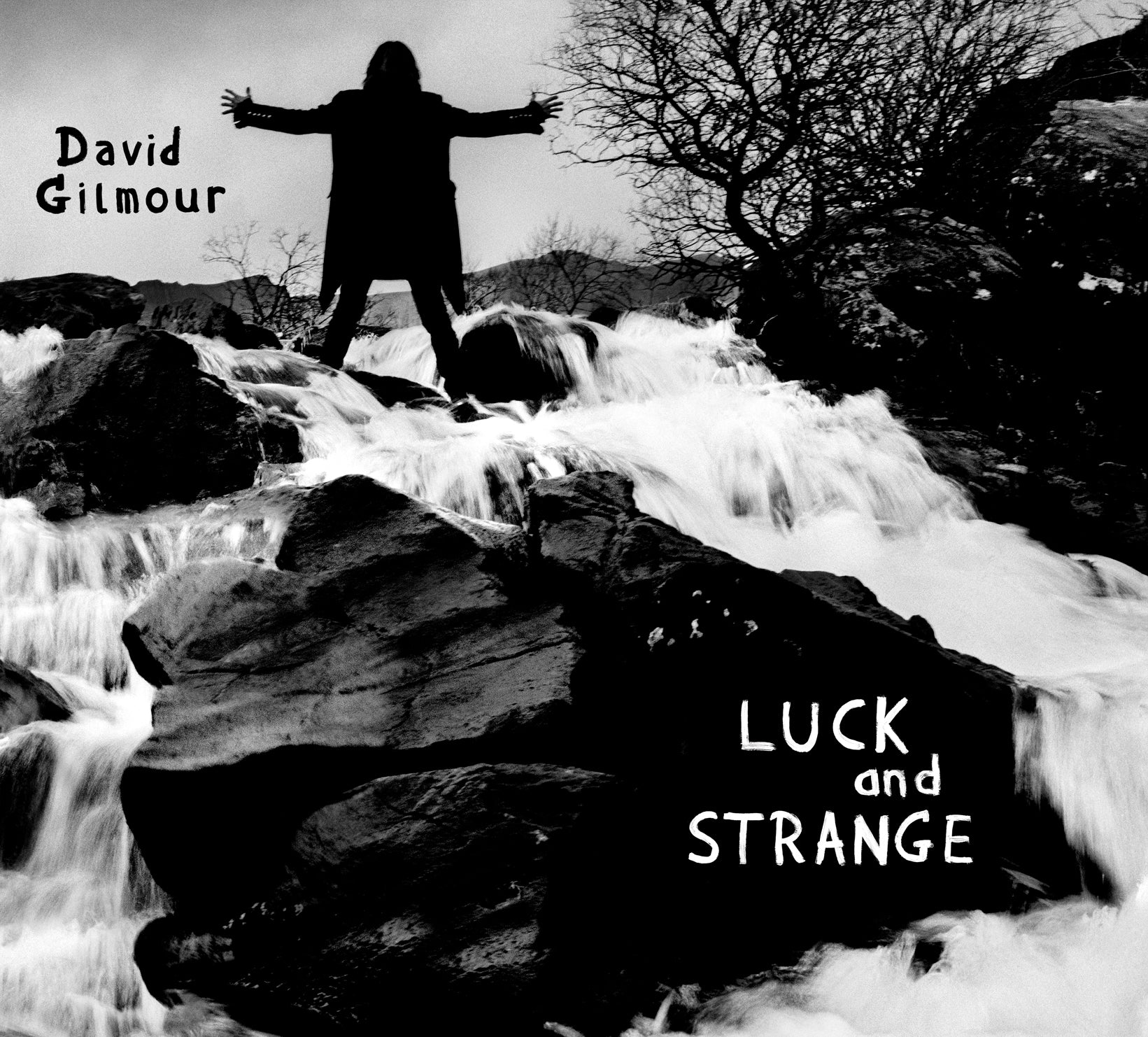 David Gilmour – Luck And Strange (Silver)