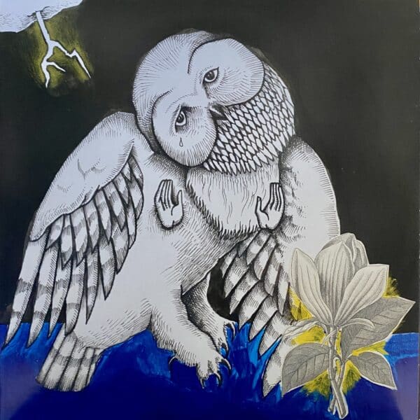 Songs: Ohia – The Magnolia Electric Co