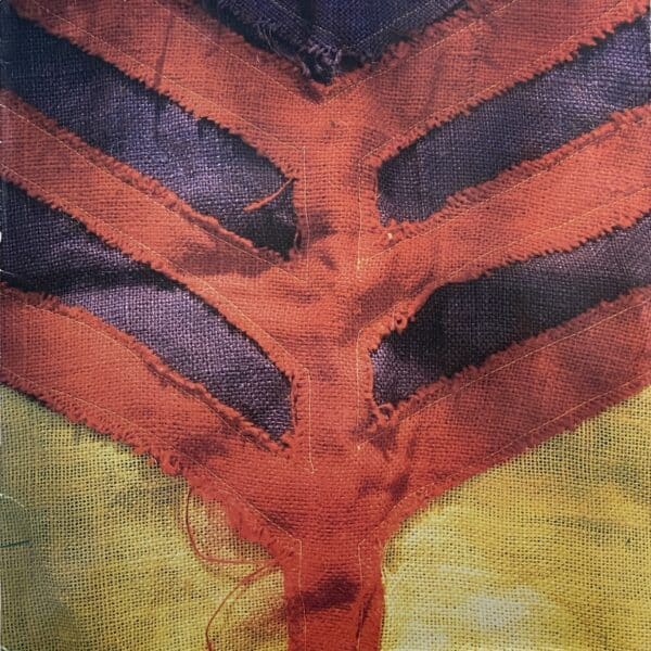 Yeah Yeah Yeahs – Show Your Bones