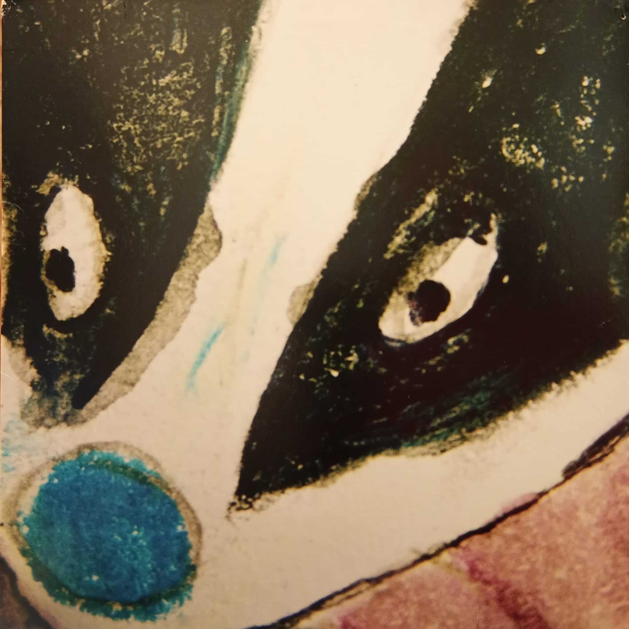 The New Tigers – The Badger