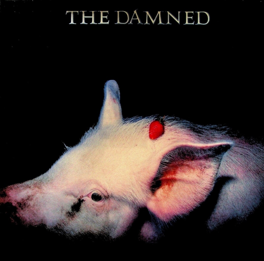 The Damned – Strawberries