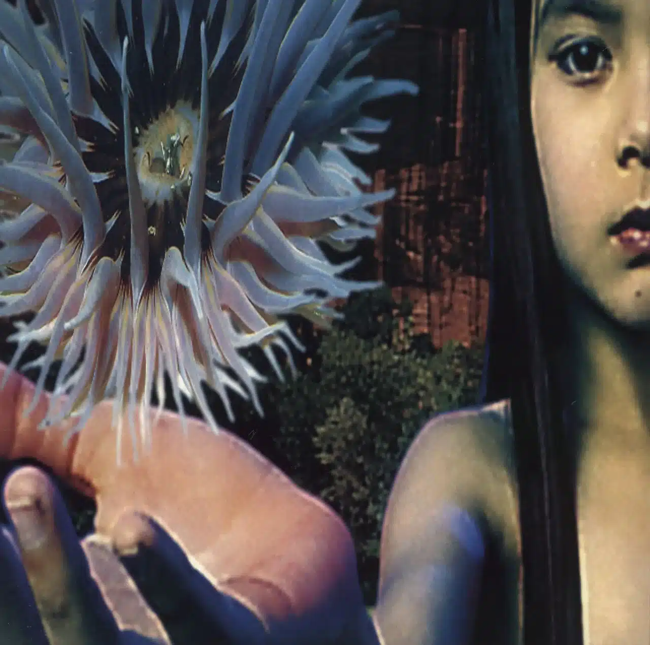 FSOL (The Future Sound Of London) – Lifeforms