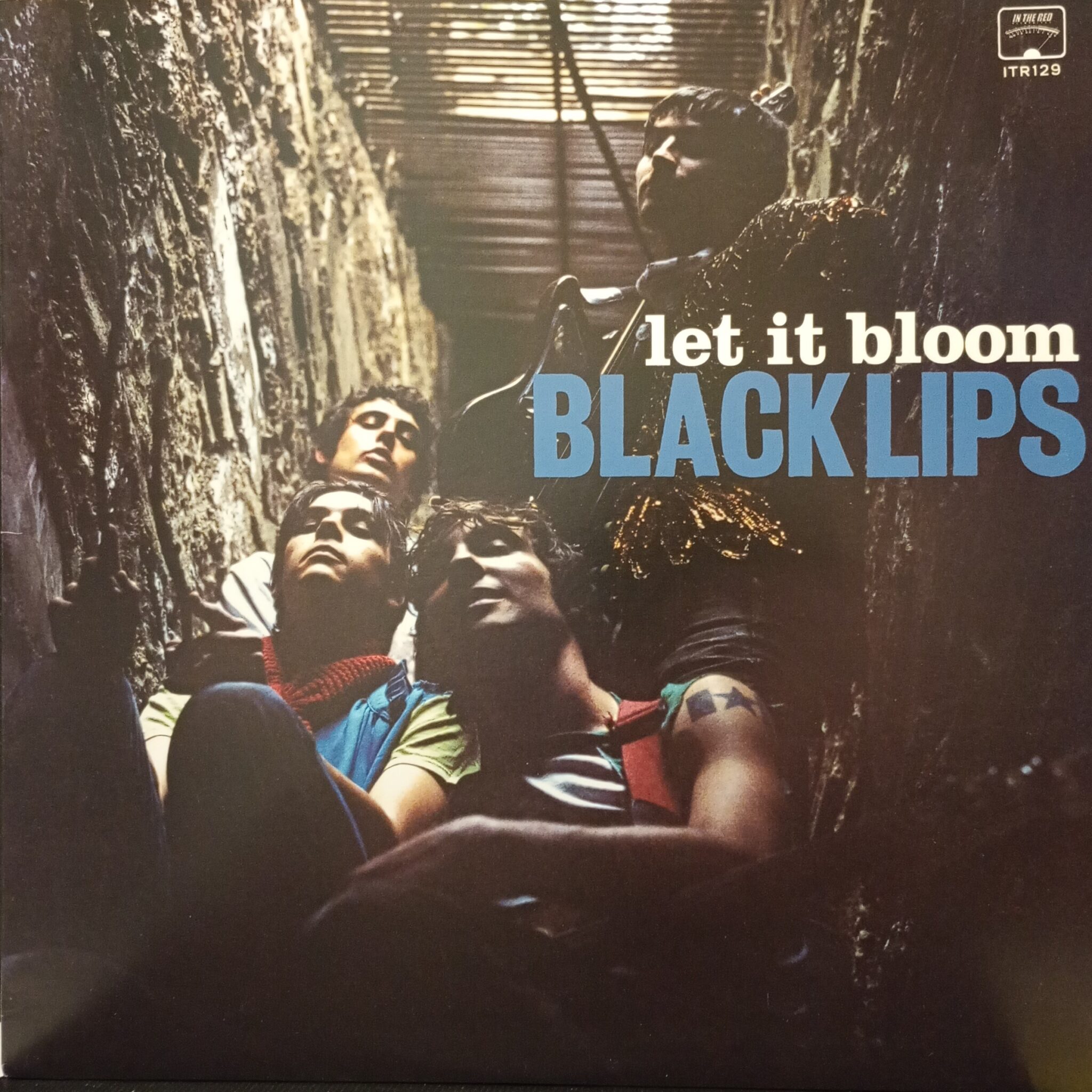 Black Lips – Let It Bloom