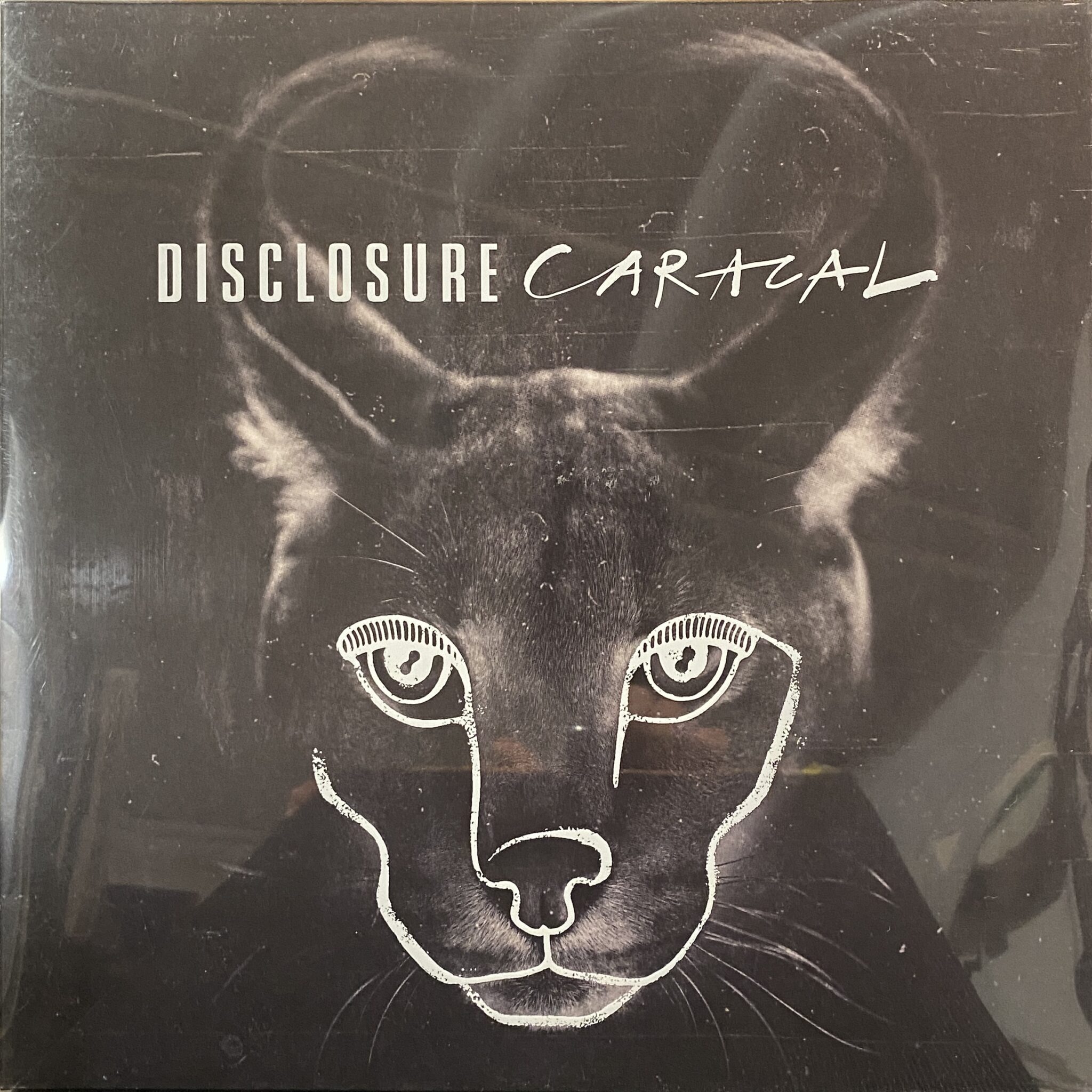 Disclosure – Caracal