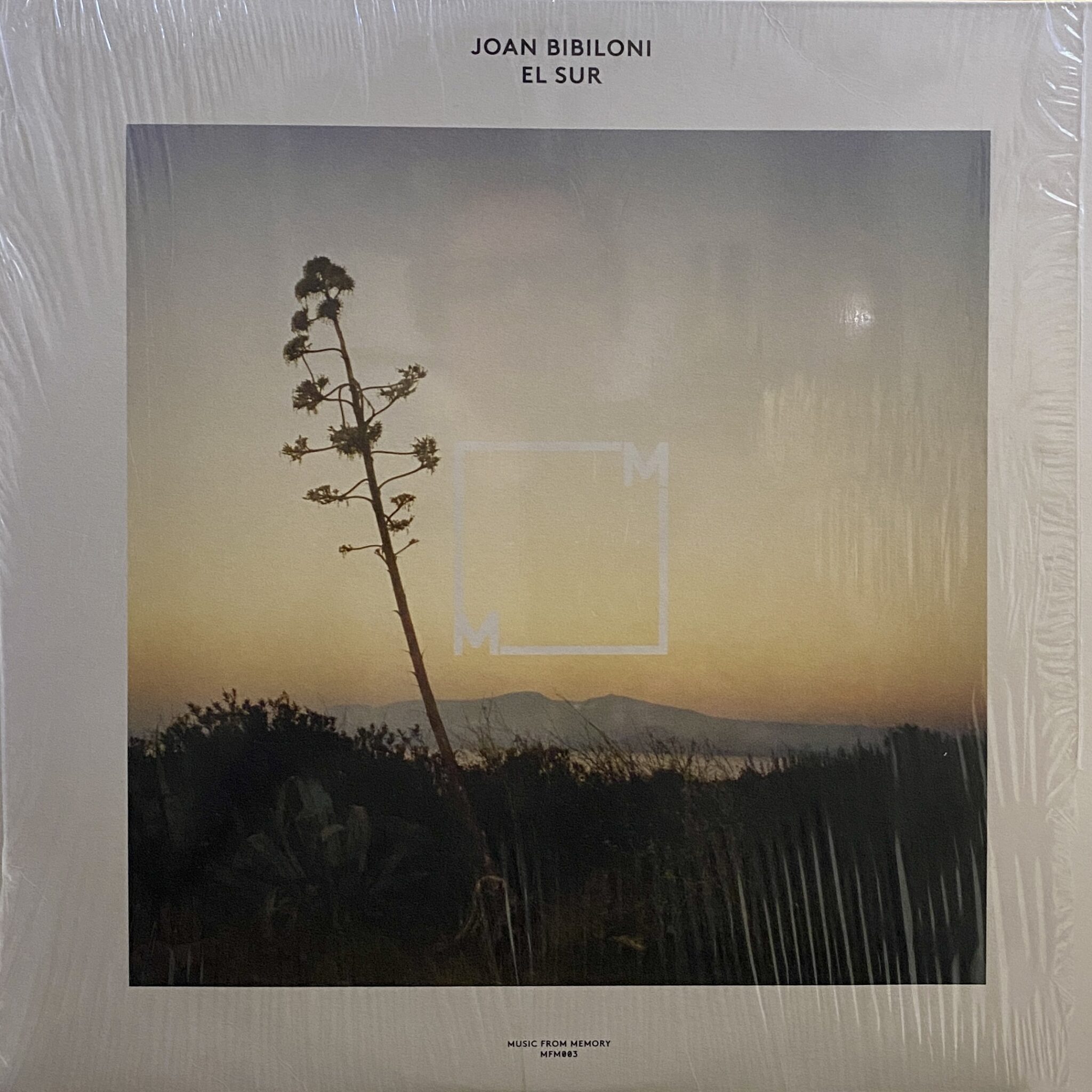 Joan Bibiloni – El Sur