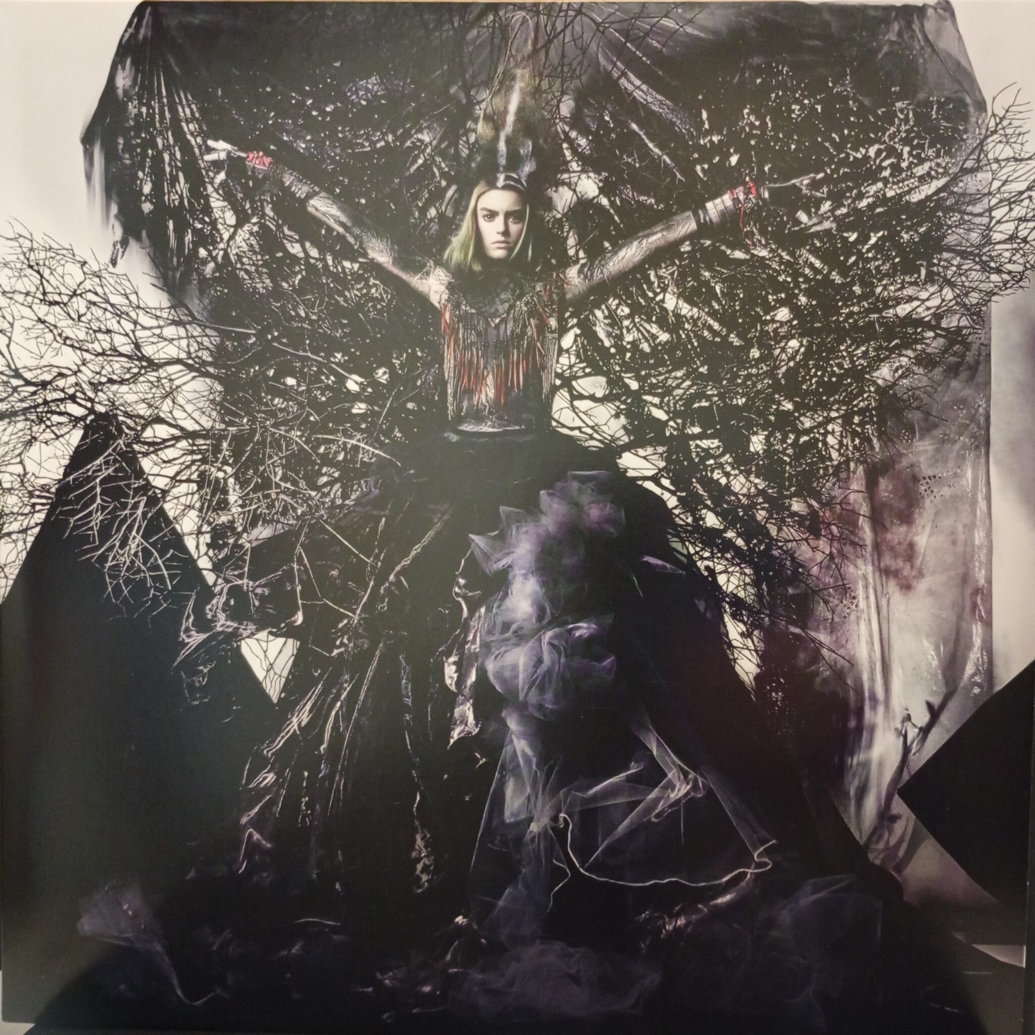 Kent – Tigerdrottningen