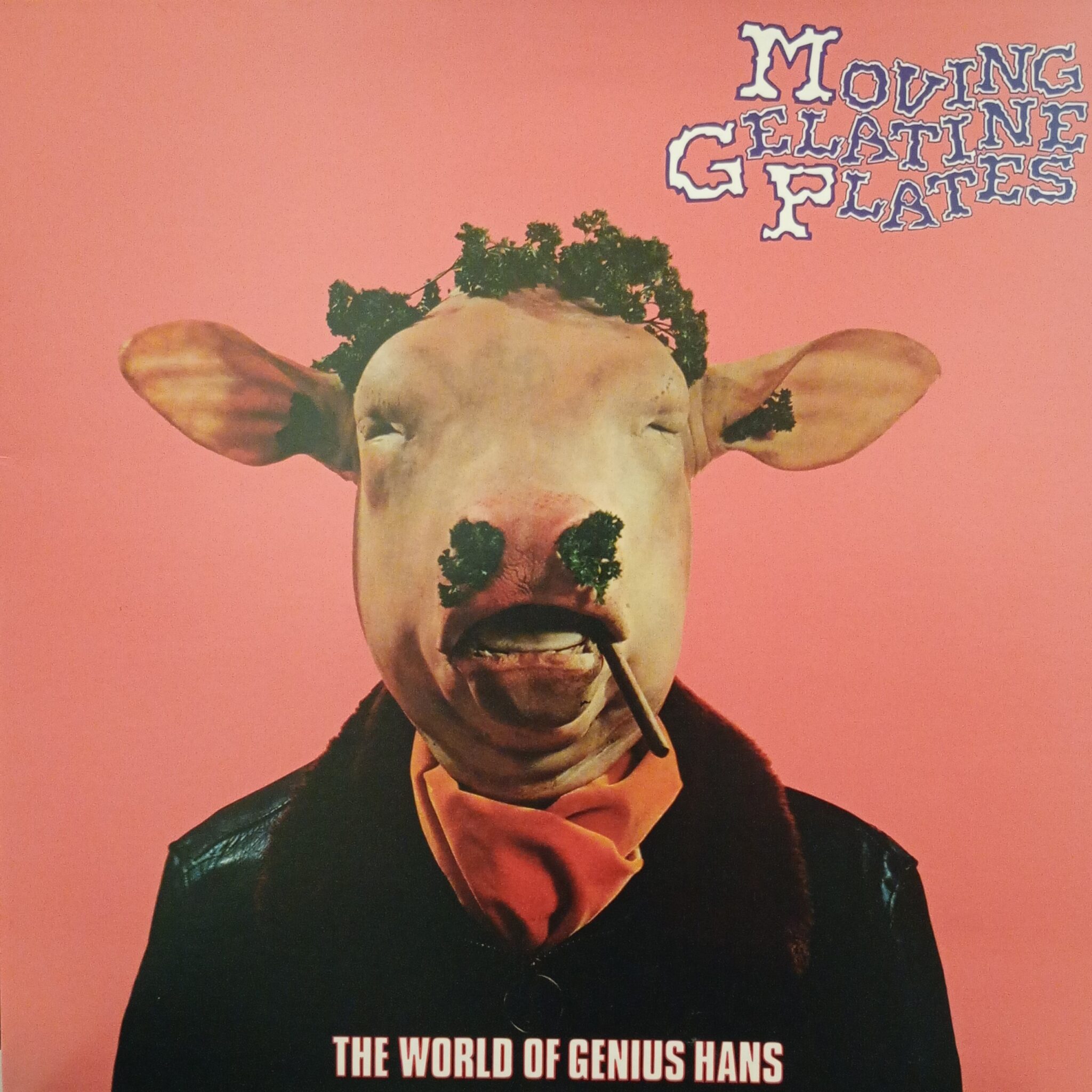 Moving Gelatine Plates – The World Of Genius Hans