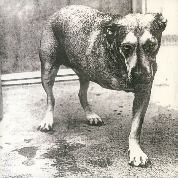 Alice In Chains – Alice In Chains