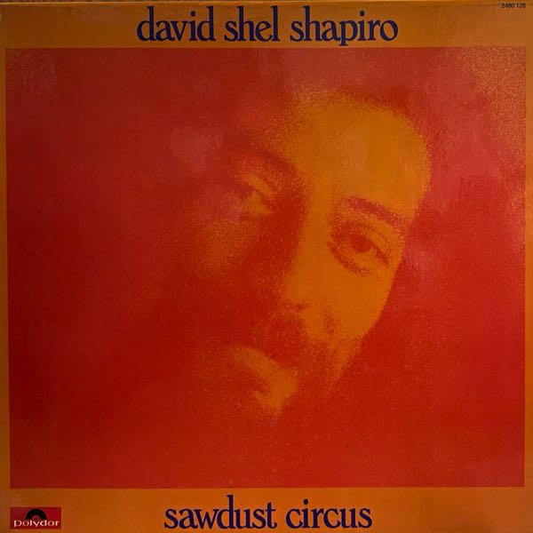 David Shel Shapiro – Sawdust Circus