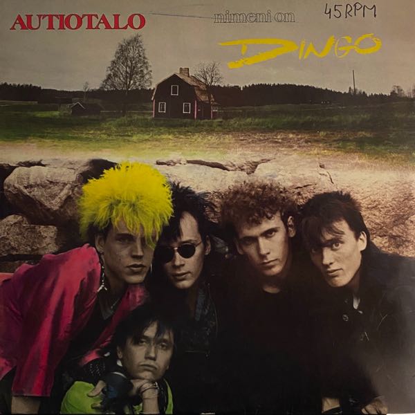 Dingo – Autiotalo MAXI