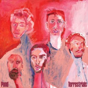 Pond – Terrestrials