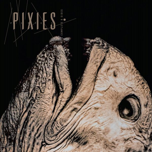 Pixies – Complete 'B' Sides 1988-97 (transparent vinyl)