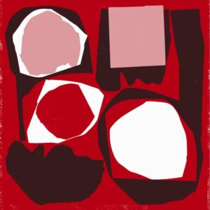 Various – Mr Bongo Record Club Volume Five