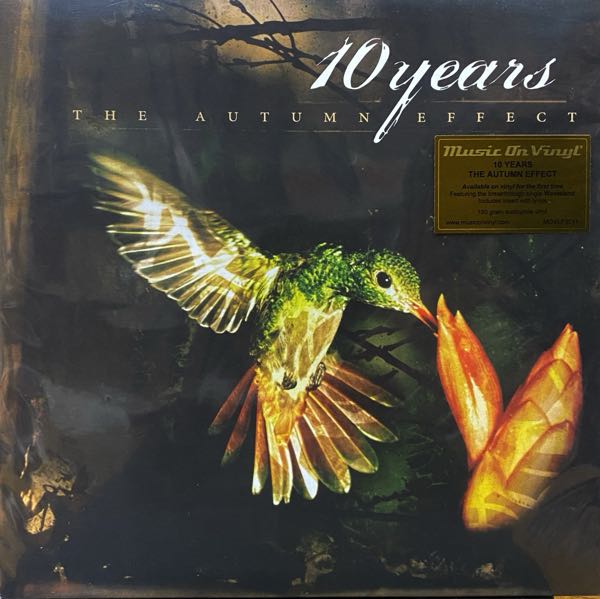10 Years – The Autumn Effect