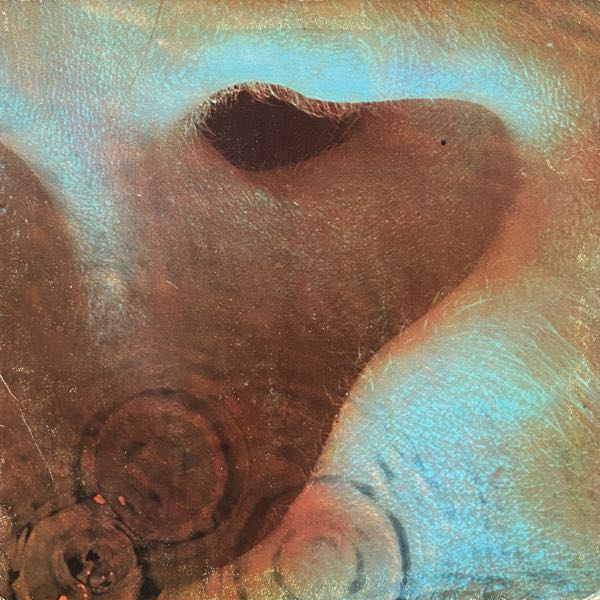 Pink Floyd – Meddle