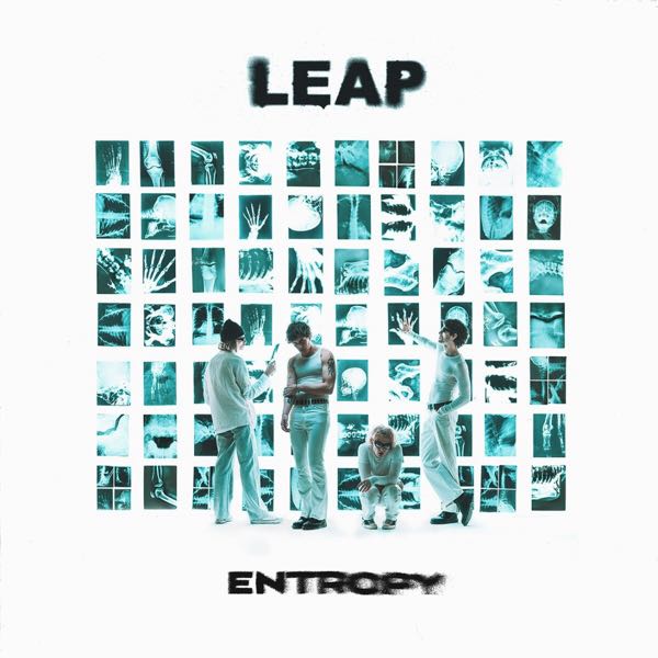 LEAP – Entropy