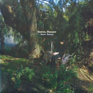Sarah Davachi – Cantus, Descant