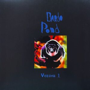 Bardo Pond – Volume 1